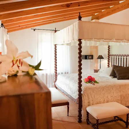Son Roig Hotel 4*