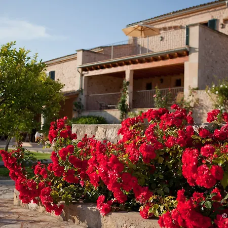 Hotel Son Roig